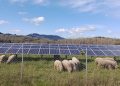 Oregon legislature passes bill paving way for community-owned microgrids