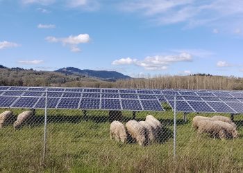 Oregon legislature passes bill paving way for community-owned microgrids