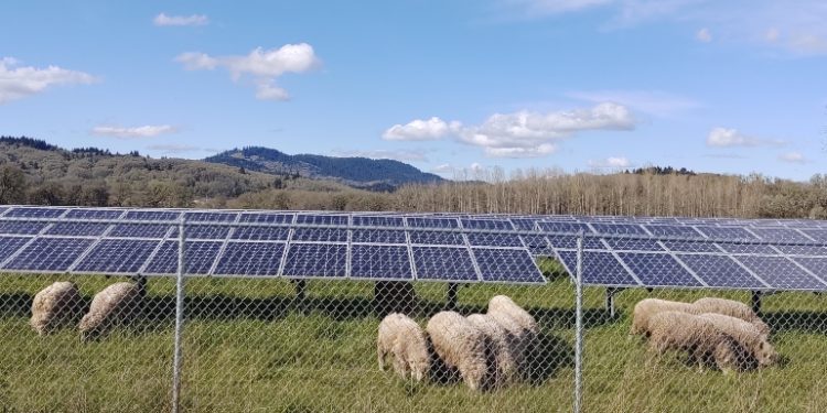 Oregon legislature passes bill paving way for community-owned microgrids