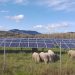 Oregon legislature passes bill paving way for community-owned microgrids