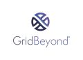 GridBeyond can now analyze asset performance during demand response events