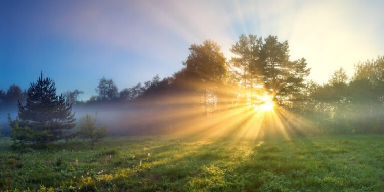 What Will Solar Look Like in 2026?