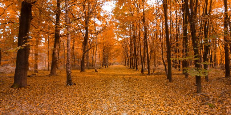 Avoid Winter Rate Hikes with Solar