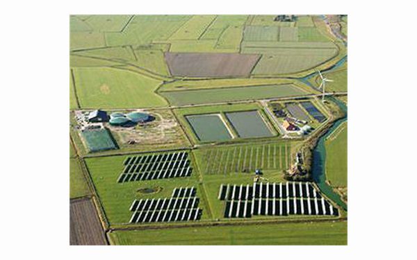 German govt wants to cut renewable energy subsidies