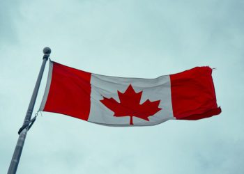 Canada set to surpass 2024 solar growth with rise in behind-the-meter PV – pv magazine USA