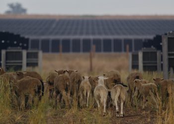 Documentary exploring solar on Colorado farmland drops online