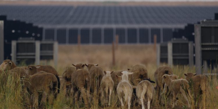 Documentary exploring solar on Colorado farmland drops online