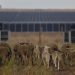 Documentary exploring solar on Colorado farmland drops online