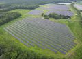Standard Solar completes 13.7-MW solar project for Maryland-based healthcare system
