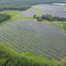 Standard Solar completes 13.7-MW solar project for Maryland-based healthcare system