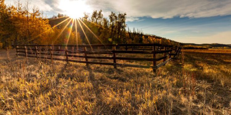 Exploring the Future of Solar