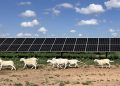 Solar power has provided more new generating capacity than any other source for two years straight