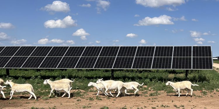 Solar power has provided more new generating capacity than any other source for two years straight