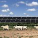 Solar power has provided more new generating capacity than any other source for two years straight