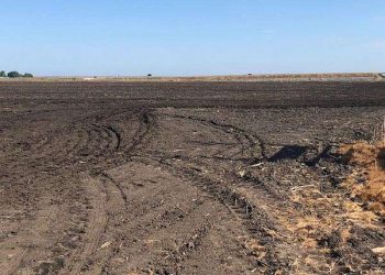 Machine learning and solar energy unite for sustainable soil remediation