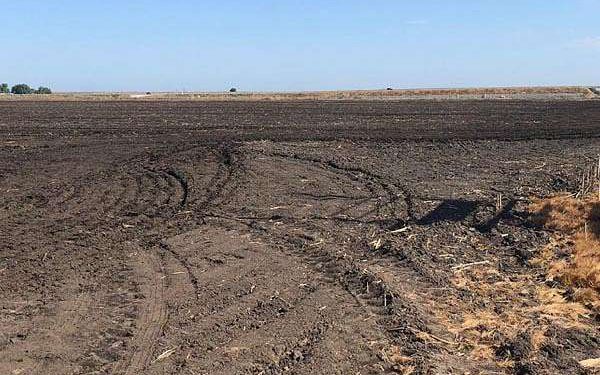 Machine learning and solar energy unite for sustainable soil remediation