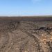 Machine learning and solar energy unite for sustainable soil remediation