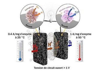 Cobalt catalyst breakthrough advances photocatalytic hydrogen peroxide production
