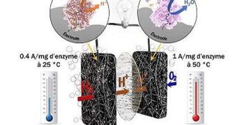 Cobalt catalyst breakthrough advances photocatalytic hydrogen peroxide production