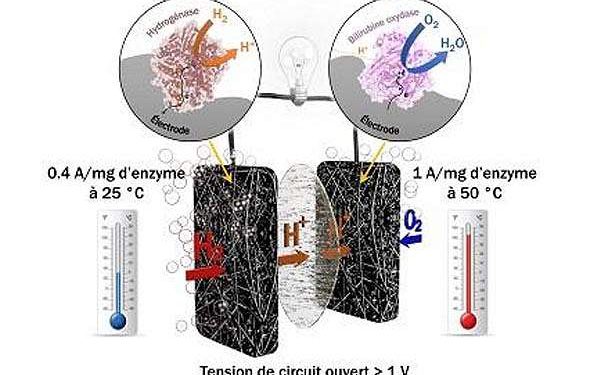 Cobalt catalyst breakthrough advances photocatalytic hydrogen peroxide production