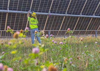 Aging solar projects find new lease on operating life with repowering