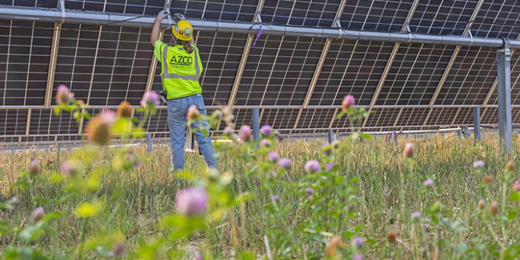 Aging solar projects find new lease on operating life with repowering