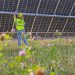 Aging solar projects find new lease on operating life with repowering