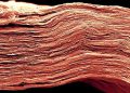 MXene Additive Boosts Heat Resistance and Efficiency in Perovskite Solar Cells