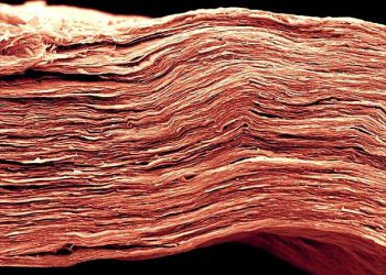 MXene Additive Boosts Heat Resistance and Efficiency in Perovskite Solar Cells