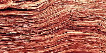 MXene Additive Boosts Heat Resistance and Efficiency in Perovskite Solar Cells