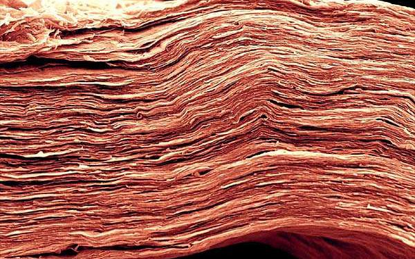 MXene Additive Boosts Heat Resistance and Efficiency in Perovskite Solar Cells