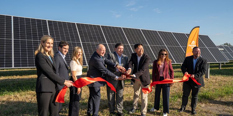 Nautilus Solar completes 5-MW community solar project along Illinois Highway 20