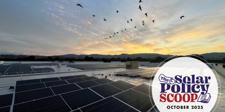 The Solar Policy Scoop: October 2025