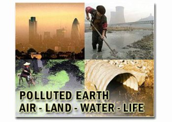 New method harnesses solar-powered biofilms to eliminate soil pollutants