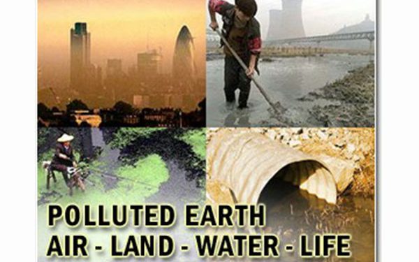 New method harnesses solar-powered biofilms to eliminate soil pollutants