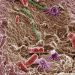 Soil microbe mineral battery stores sunlight to degrade antibiotics after dark