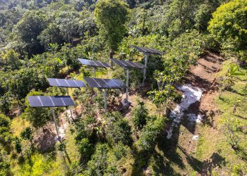 Pole-mount agrivoltaics project installed at Puerto Rico coffee farm