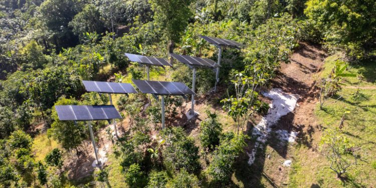 Pole-mount agrivoltaics project installed at Puerto Rico coffee farm