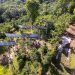 Pole-mount agrivoltaics project installed at Puerto Rico coffee farm