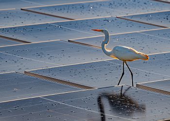 D3Energy completes largest floating solar array in Florida
