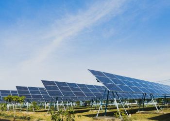 How Victoria’s New Mega Solar Farm Helps Stabilise Your Power Bills