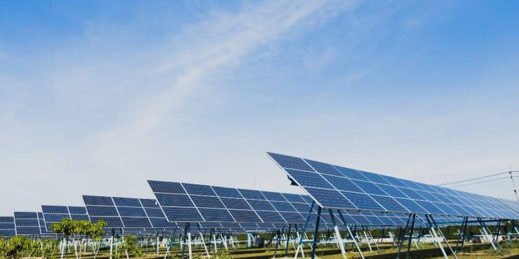 How Victoria’s New Mega Solar Farm Helps Stabilise Your Power Bills