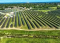 CleanCapital completes construction on two community solar projects on Superfund sites