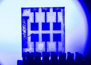 Solar-powered redox reactions advance with perovskite-based heterojunctions