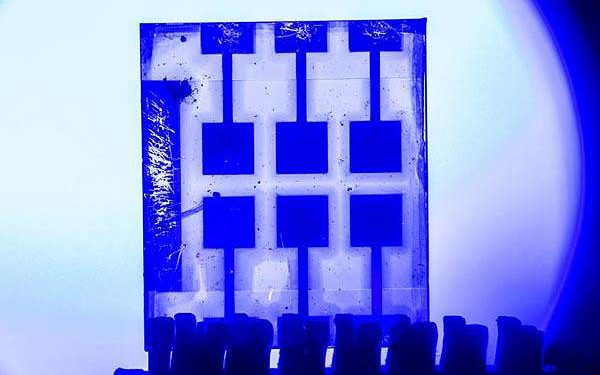 Solar-powered redox reactions advance with perovskite-based heterojunctions