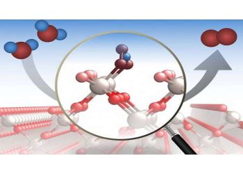 Enhanced solar water splitting achieved with MoS2 GaN nanorod heterostructures