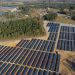 Pine Gate Renewables files for bankruptcy, selling solar business and project portfolio