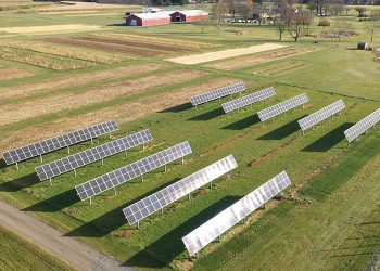 NYSERDA grants $7 million to co-locate solar and agriculture throughout New York