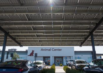 Maryland opens $13 million in grants for commercial and canopy solar projects