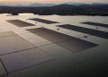 Floating solar panels show promise, but environmental impacts vary
